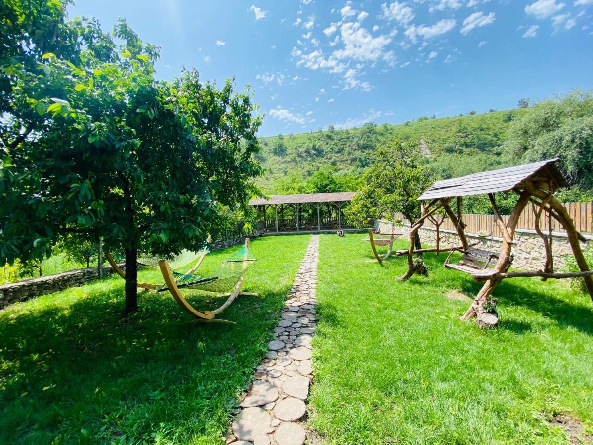 Hotel Valea Stancii Trebujeni Exteriér fotografie